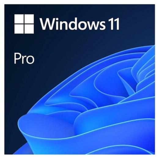 Microsoft Windows 11 Pro Türkçe İşletim Sistemi (FQC-10556)